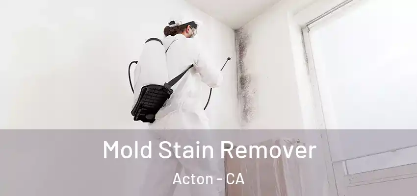  Mold Stain Remover Acton - CA