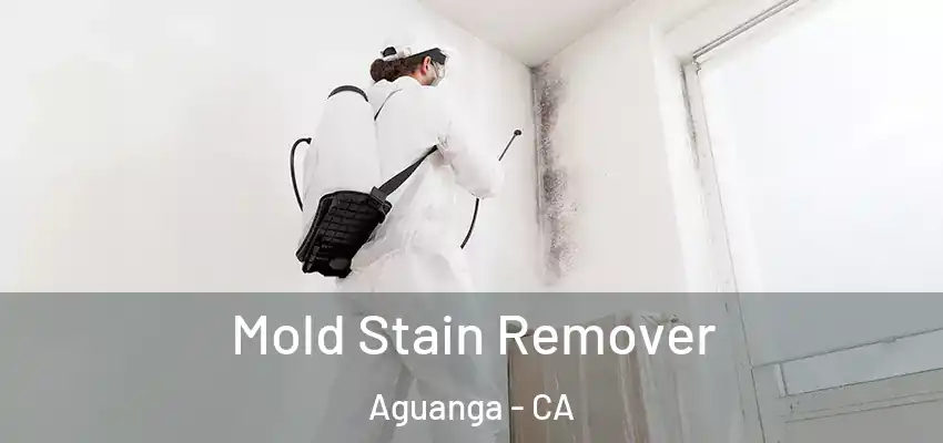  Mold Stain Remover Aguanga - CA