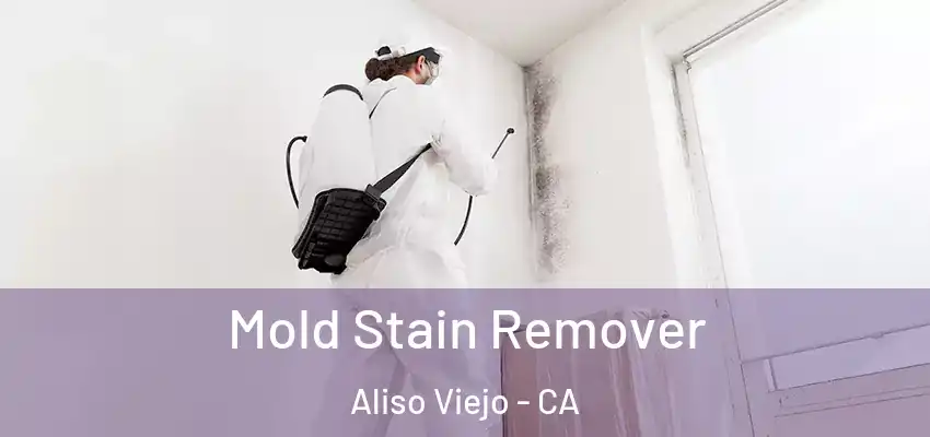  Mold Stain Remover Aliso Viejo - CA