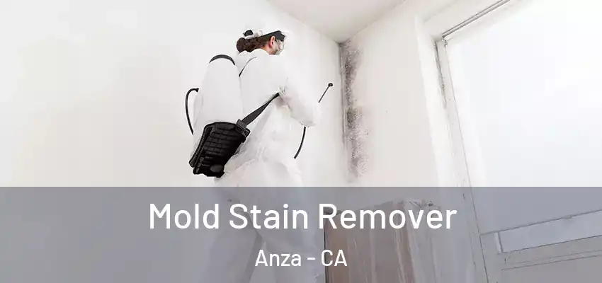  Mold Stain Remover Anza - CA