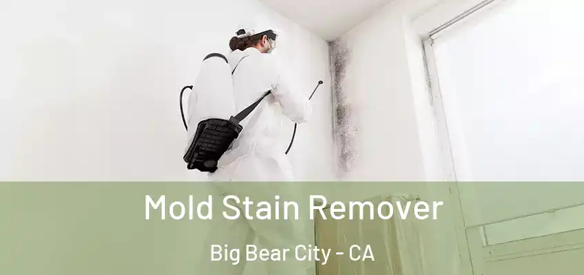  Mold Stain Remover Big Bear City - CA
