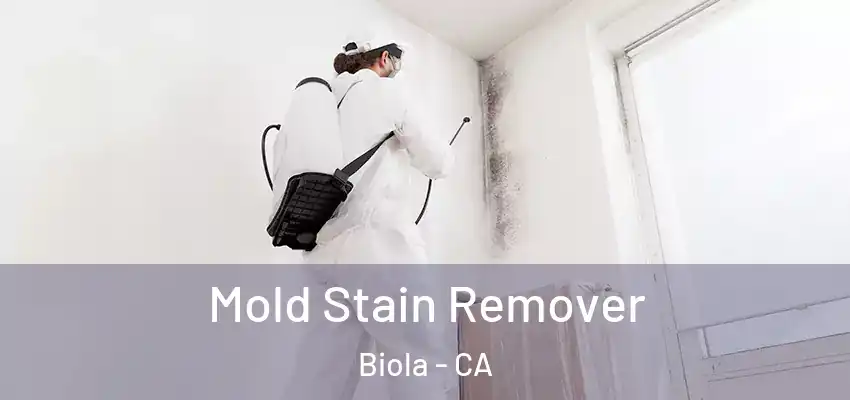  Mold Stain Remover Biola - CA