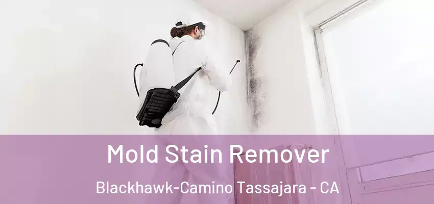  Mold Stain Remover Blackhawk-Camino Tassajara - CA