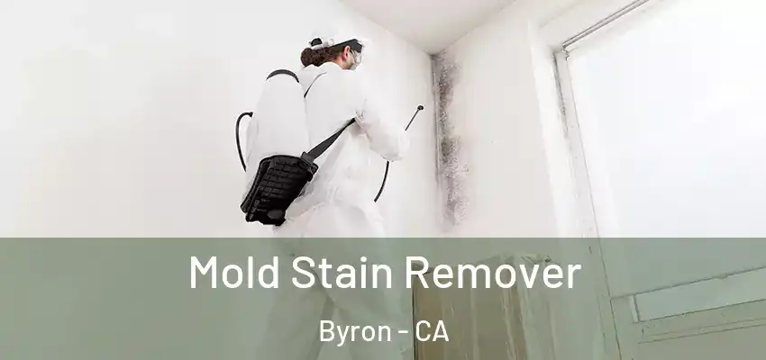  Mold Stain Remover Byron - CA