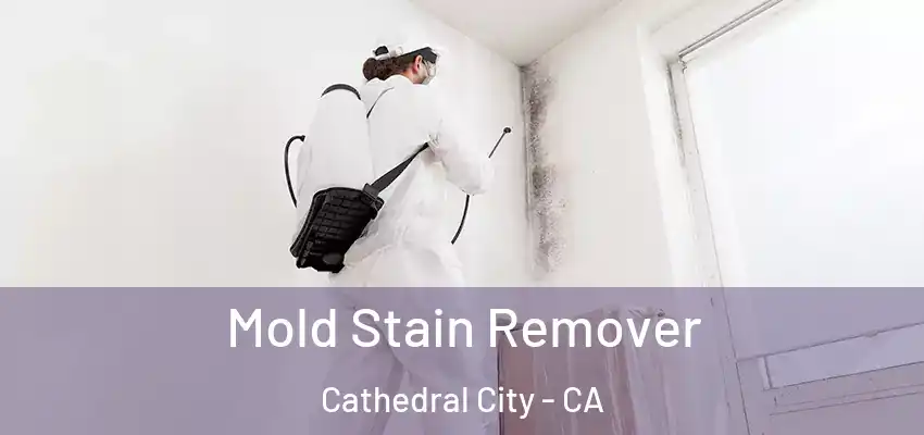  Mold Stain Remover Cathedral City - CA