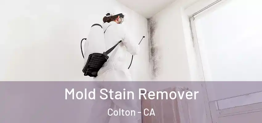  Mold Stain Remover Colton - CA