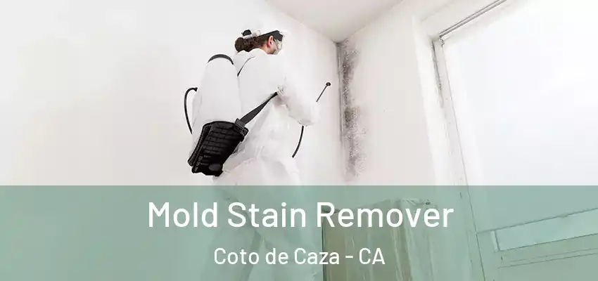  Mold Stain Remover Coto de Caza - CA