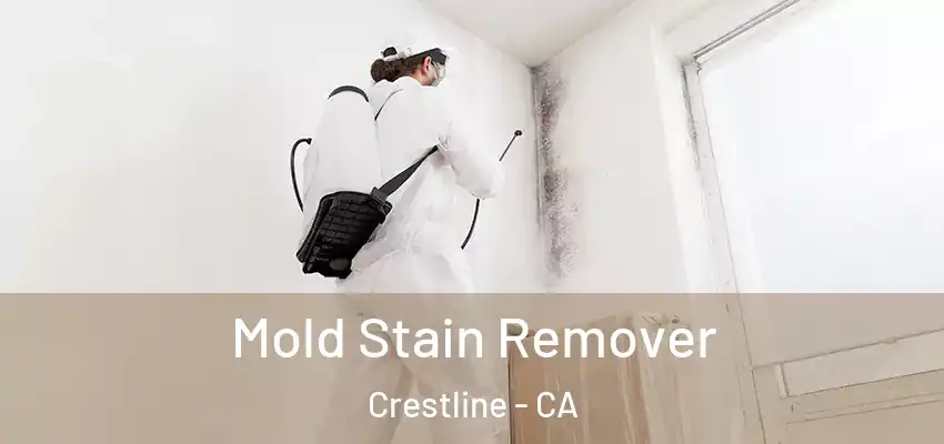  Mold Stain Remover Crestline - CA