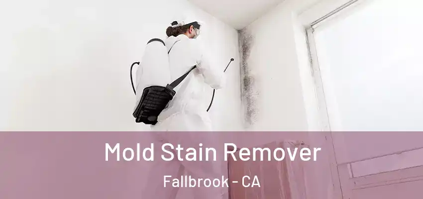  Mold Stain Remover Fallbrook - CA