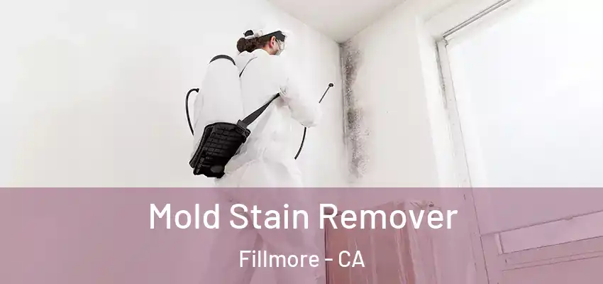  Mold Stain Remover Fillmore - CA