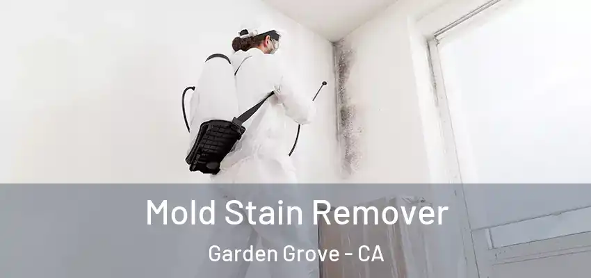  Mold Stain Remover Garden Grove - CA