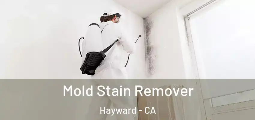  Mold Stain Remover Hayward - CA