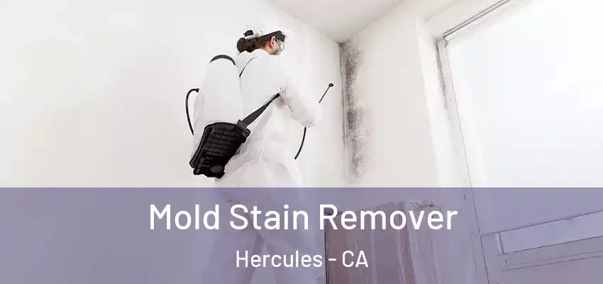  Mold Stain Remover Hercules - CA