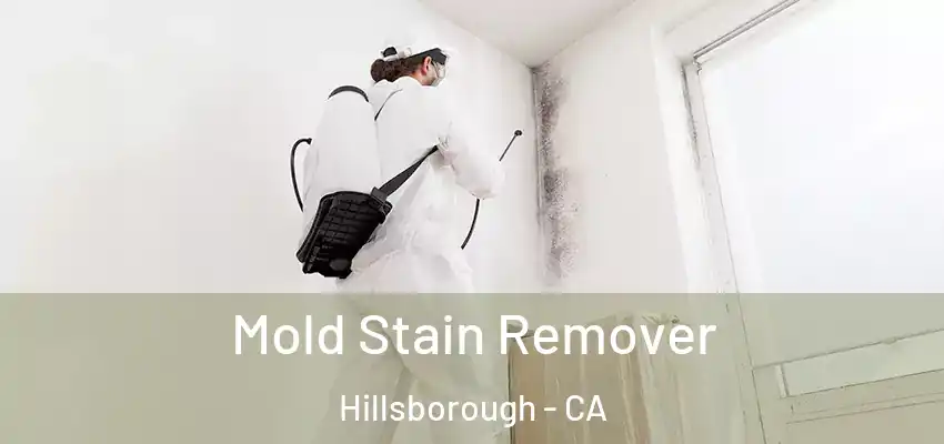  Mold Stain Remover Hillsborough - CA