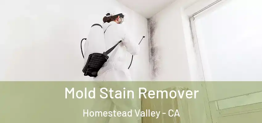  Mold Stain Remover Homestead Valley - CA