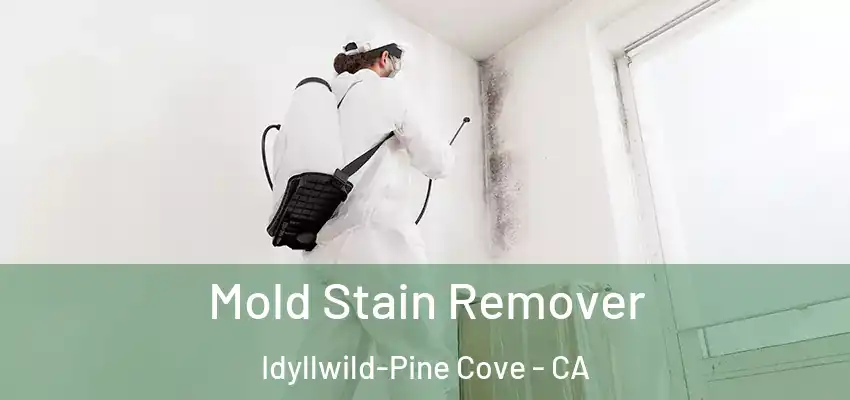  Mold Stain Remover Idyllwild-Pine Cove - CA