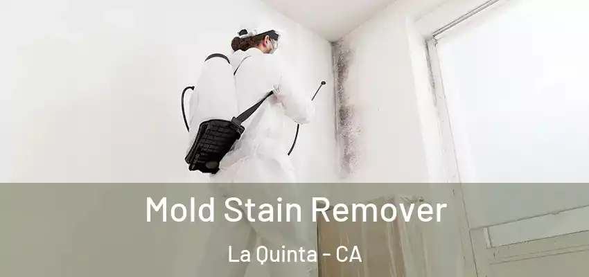  Mold Stain Remover La Quinta - CA
