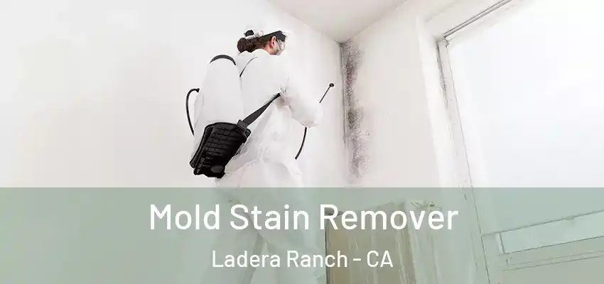  Mold Stain Remover Ladera Ranch - CA