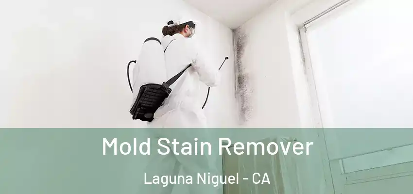  Mold Stain Remover Laguna Niguel - CA