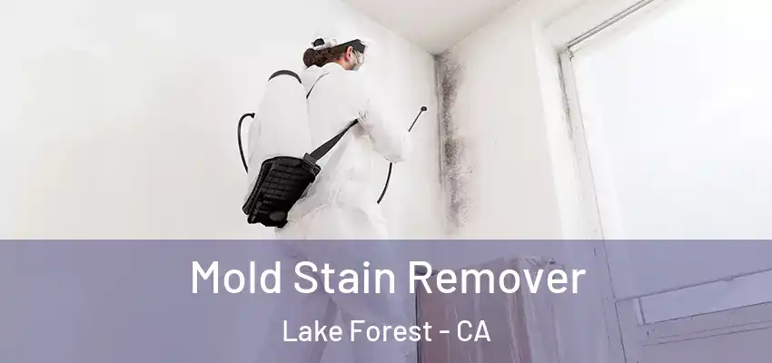 Mold Stain Remover Lake Forest - CA