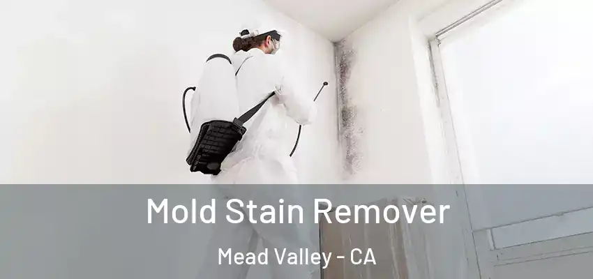  Mold Stain Remover Mead Valley - CA