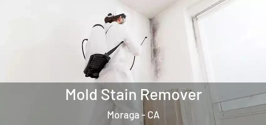  Mold Stain Remover Moraga - CA