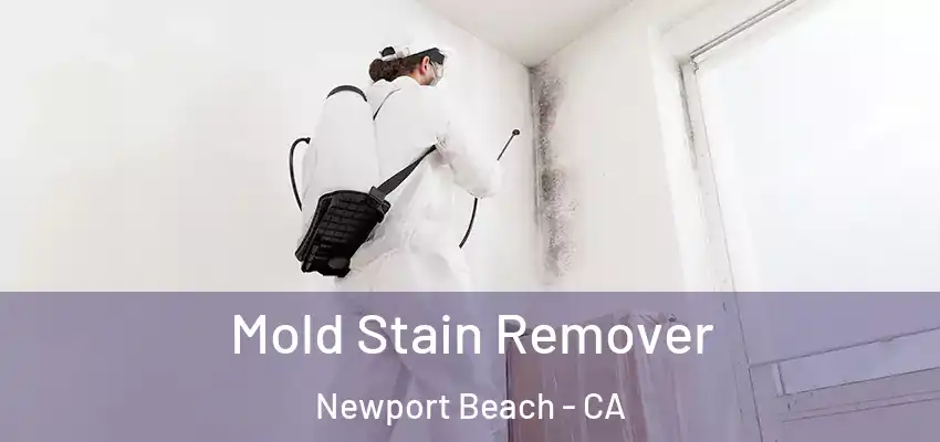  Mold Stain Remover Newport Beach - CA