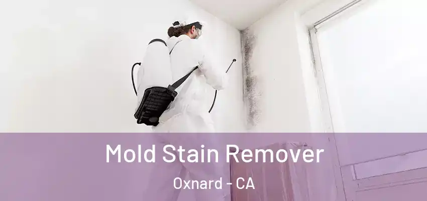  Mold Stain Remover Oxnard - CA