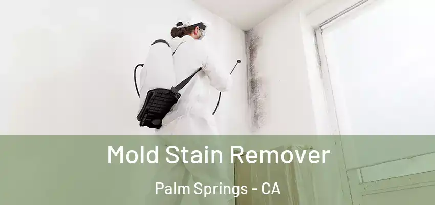  Mold Stain Remover Palm Springs - CA
