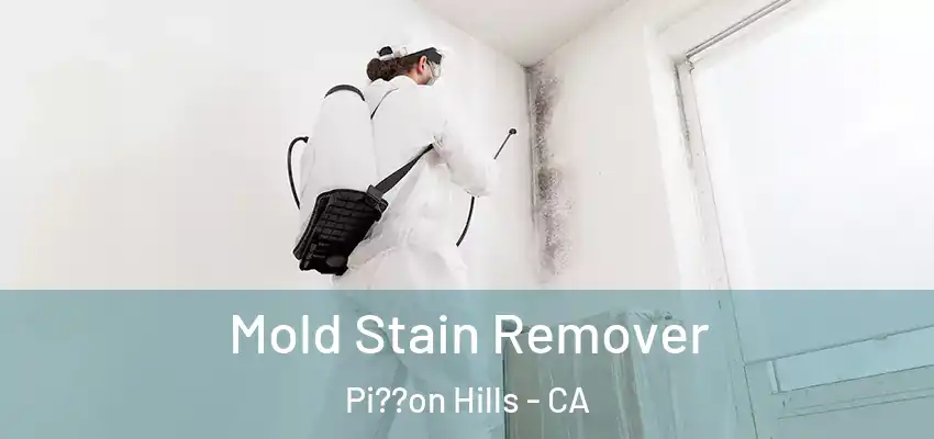  Mold Stain Remover Pi??on Hills - CA