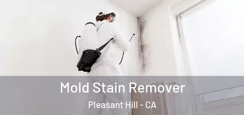  Mold Stain Remover Pleasant Hill - CA
