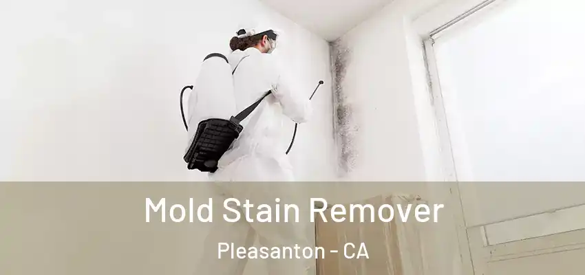 Mold Stain Remover Pleasanton - CA