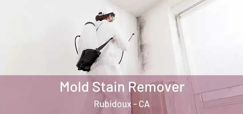  Mold Stain Remover Rubidoux - CA