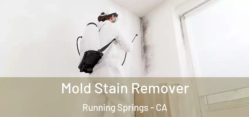  Mold Stain Remover Running Springs - CA