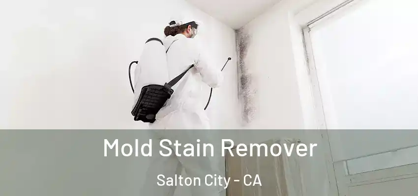  Mold Stain Remover Salton City - CA