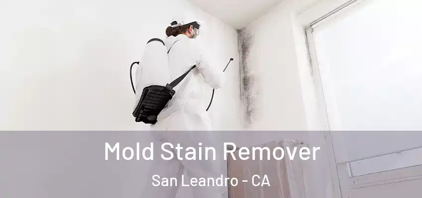  Mold Stain Remover San Leandro - CA