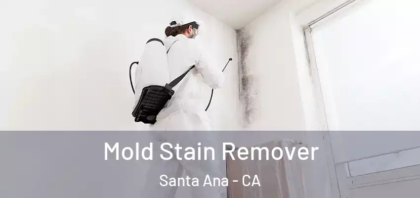 Mold Stain Remover Santa Ana - CA