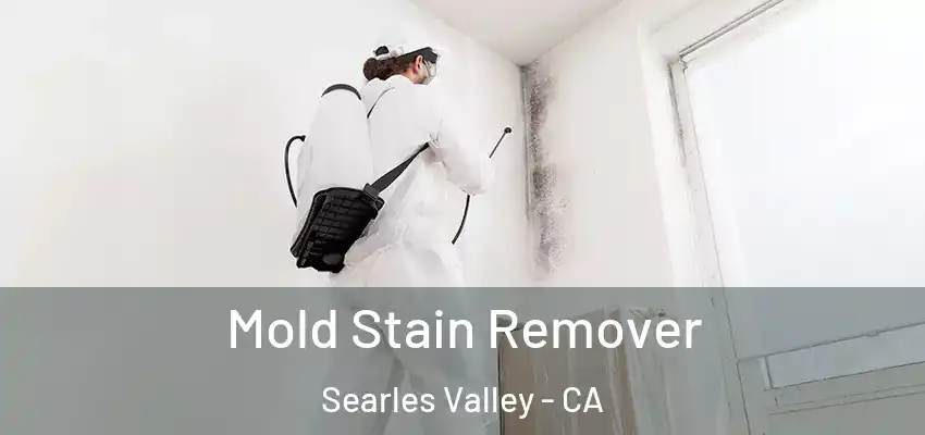 Mold Stain Remover Searles Valley - CA