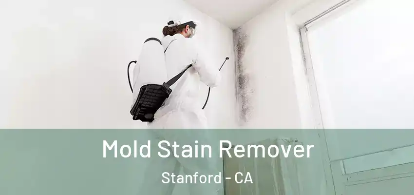  Mold Stain Remover Stanford - CA