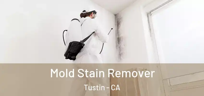  Mold Stain Remover Tustin - CA