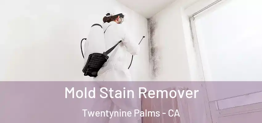  Mold Stain Remover Twentynine Palms - CA