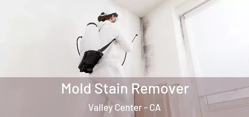  Mold Stain Remover Valley Center - CA