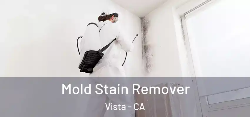  Mold Stain Remover Vista - CA