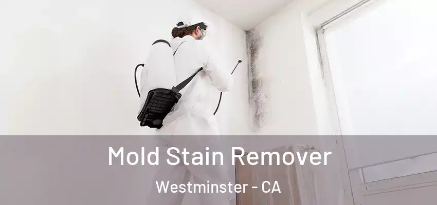  Mold Stain Remover Westminster - CA