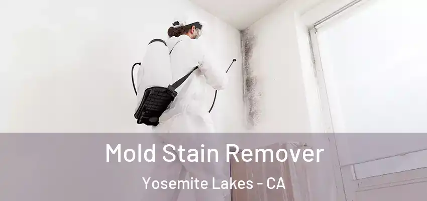  Mold Stain Remover Yosemite Lakes - CA