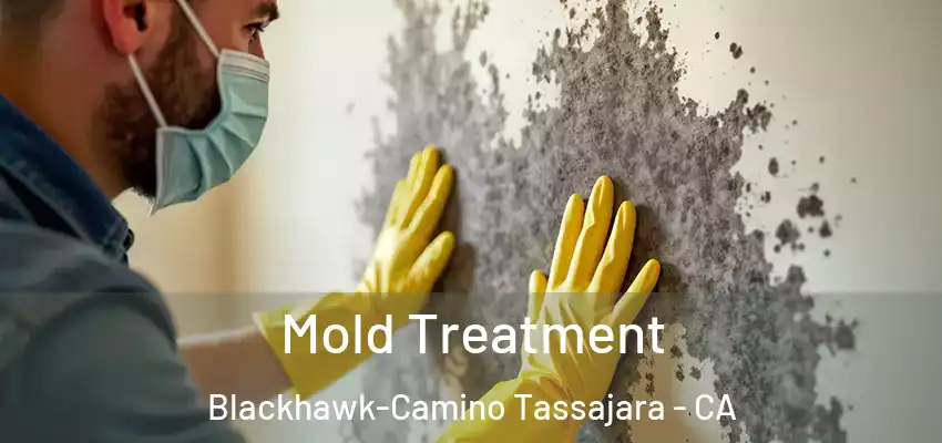  Mold Treatment Blackhawk-Camino Tassajara - CA