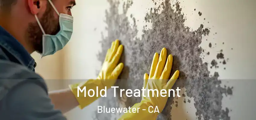  Mold Treatment Bluewater - CA