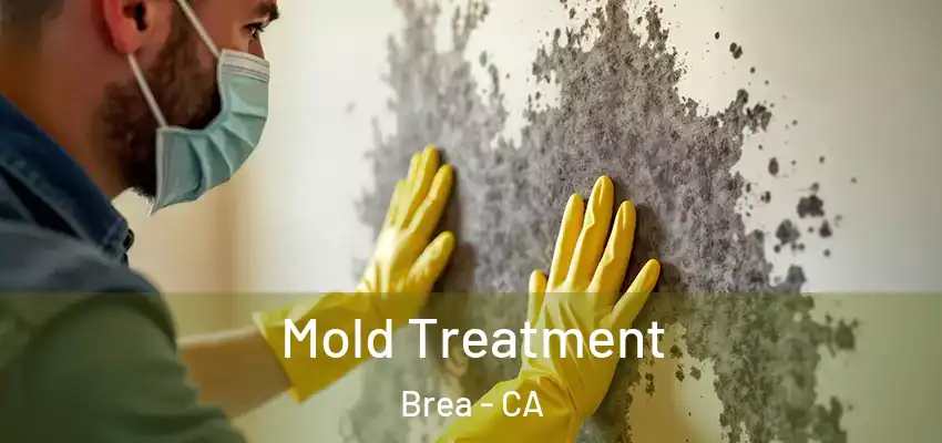  Mold Treatment Brea - CA