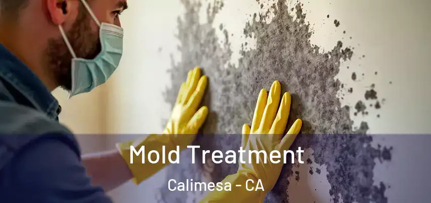  Mold Treatment Calimesa - CA