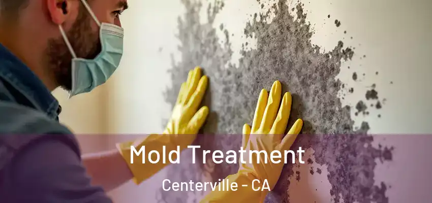  Mold Treatment Centerville - CA